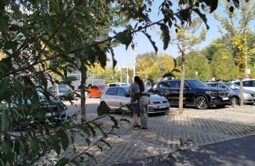 IMG_20240825_145509